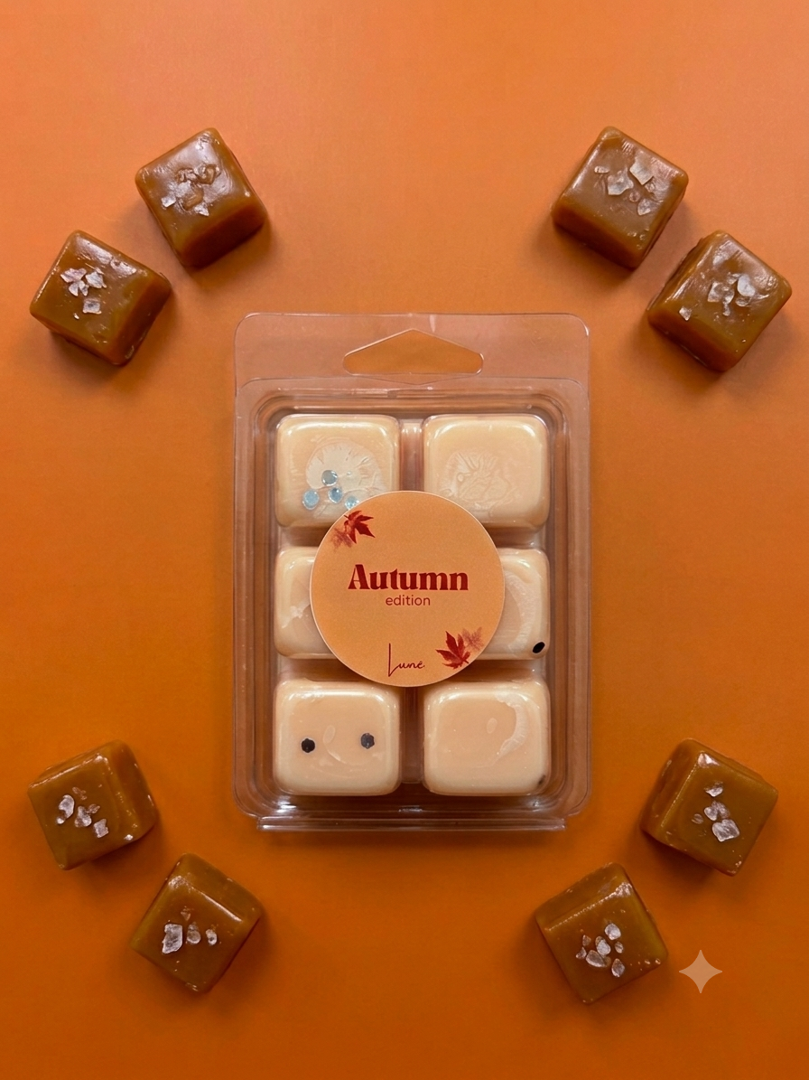 Tabelete Wax melts Autumn collection 🤎🍁